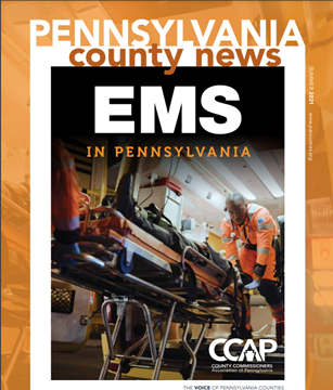 Image of County News